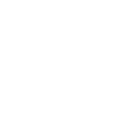 theseagullinnbrean